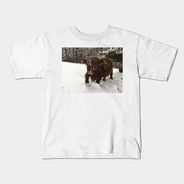 Scottish Highland Cattle Calf 1911 Kids T-Shirt by SaarelaHighland